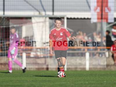 Bild-ID: 2566769