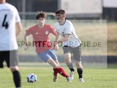 Bild-ID: 2566986