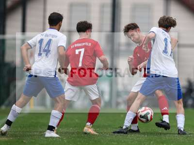 Bild-ID: 2567360