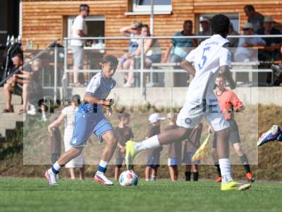 Bild-ID: 2567491
