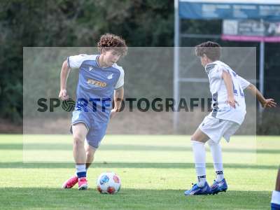 Bild-ID: 2567534