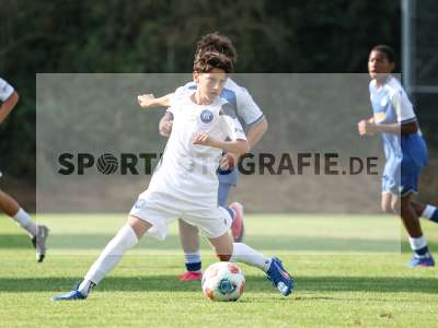 Bild-ID: 2567555