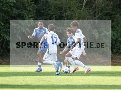 Bild-ID: 2567599