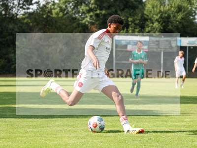 Bild-ID: 2567607