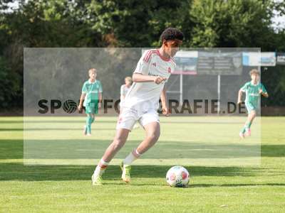 Bild-ID: 2567616