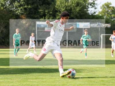 Bild-ID: 2567617
