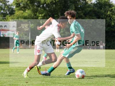 Bild-ID: 2567618