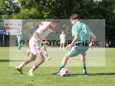 Bild-ID: 2567619