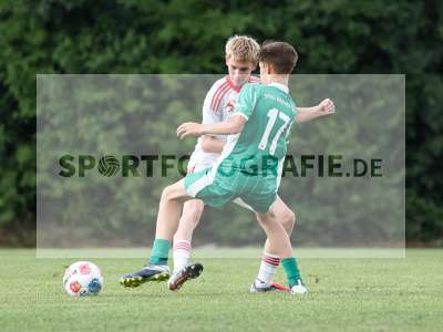 Bild-ID: 2567626