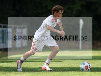Bild-ID: 2567630