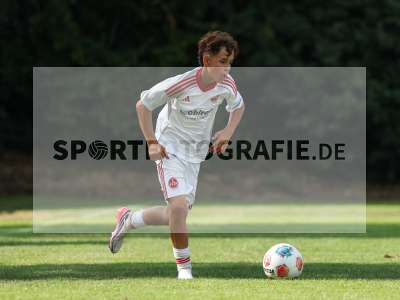 Bild-ID: 2567631
