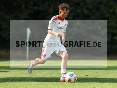 Bild-ID: 2567633