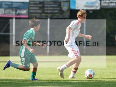 Bild-ID: 2567645