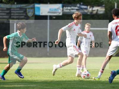 Bild-ID: 2567646