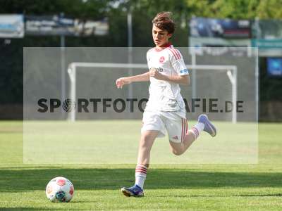 Bild-ID: 2567649