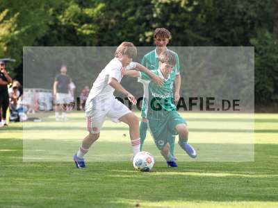 Bild-ID: 2567654