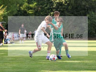 Bild-ID: 2567655