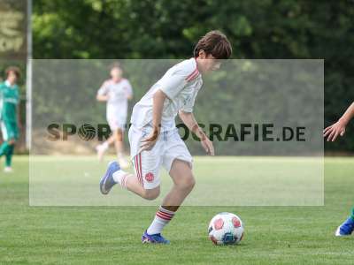 Bild-ID: 2567660