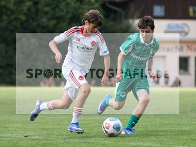 Bild-ID: 2567661