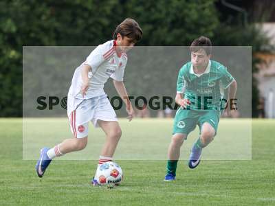 Bild-ID: 2567662