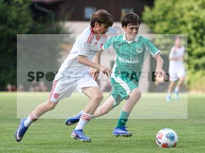 Bild-ID: 2567664