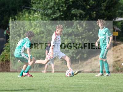 Bild-ID: 2567668