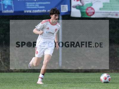 Bild-ID: 2567674
