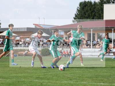 Bild-ID: 2567687