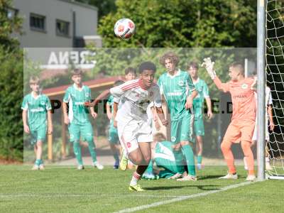 Bild-ID: 2567693