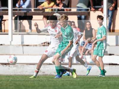 Bild-ID: 2567694