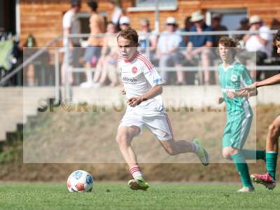 Bild-ID: 2567698