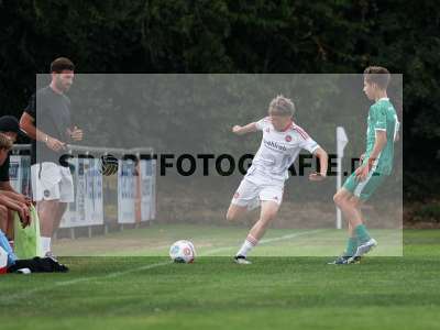 Bild-ID: 2567702