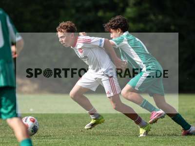 Bild-ID: 2567745