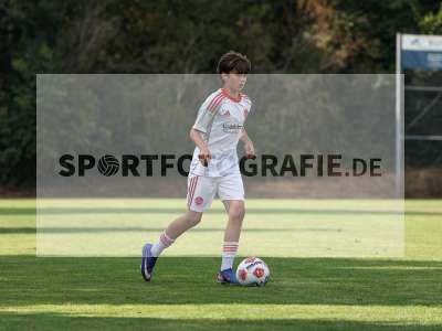 Bild-ID: 2567746