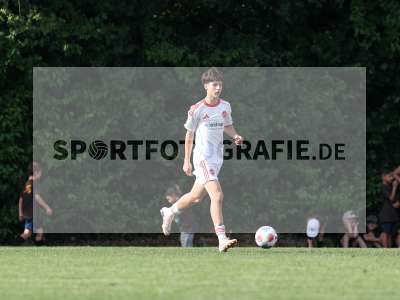 Bild-ID: 2567768