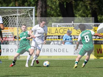 Bild-ID: 2569176