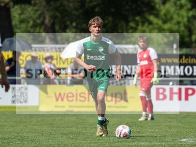 Bild-ID: 2569309