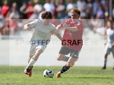 Bild-ID: 2569528
