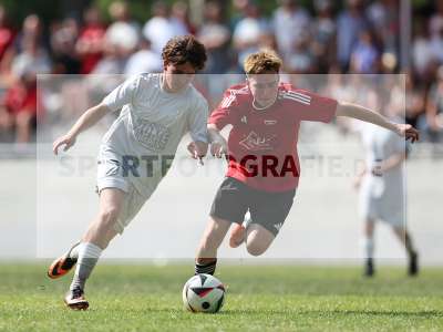 Bild-ID: 2569529