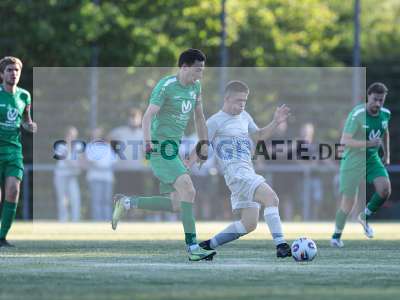 Bild-ID: 2570032