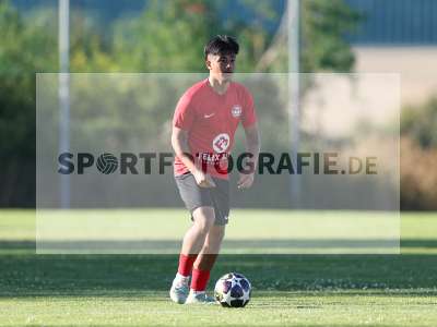 Bild-ID: 2570204