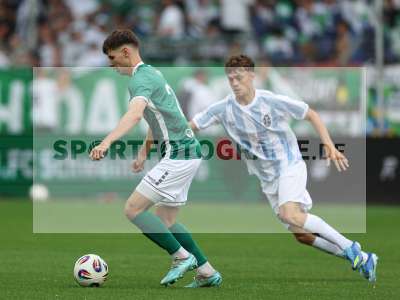 Bild-ID: 2571329