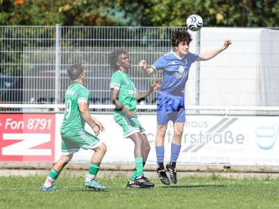 Bild-ID: 2571839