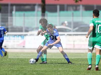 Bild-ID: 2571859