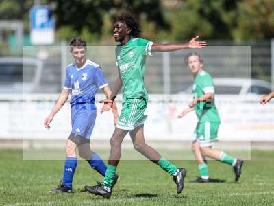 Bild-ID: 2571904