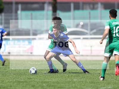 Bild-ID: 2571935