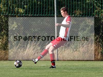 Bild-ID: 2572038