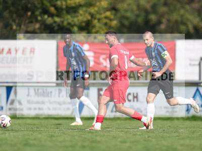 Fotos von TSV Lohr - TG Höchberg auf sportfotografie.de