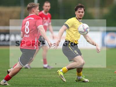 Bild-ID: 2576141