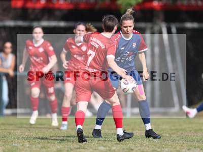 Bild-ID: 2576255
